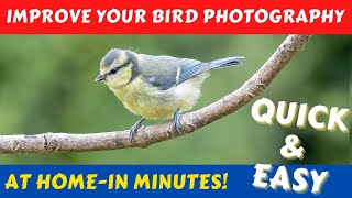 How To Take Pro Quality  Garden Bird Photography Images. Improve your photography skills in minutes!