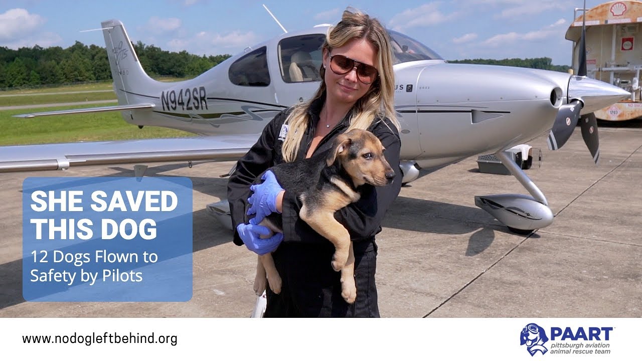 She Rescued This Dog