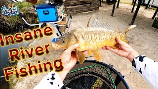 Master Carp Fishing at Rivierzicht | Western Cape Macpac Setup #carpfishing #rivierzicht
