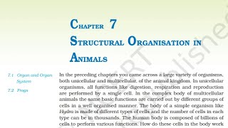 Class11 Ch7 Structural Organization in Animals NCERT Biology One Shot | Biology Class 11Audio Books