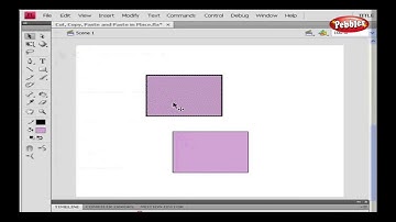 Cut,Copy,Paste & Paste in Place || Flash CS4  Presentation || Tutorial For Beginners