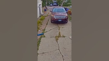 Terrible lightning destroyed tall trees in an instant We really need... #Shorts #fun