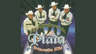 Video thumbnail of "Los Rancheros de Plata - Cobarde"