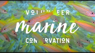 Volunteer Marine Conversation in Madagascar with MRCI