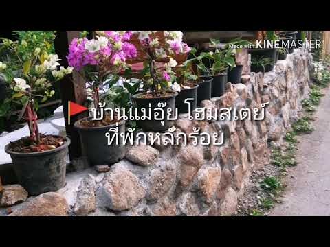 🚩ที่พักหลักร้อย บ.แม่ลาย ต.ห้วยแก้ว อ.แม่ออน จ.เชียงใหม่