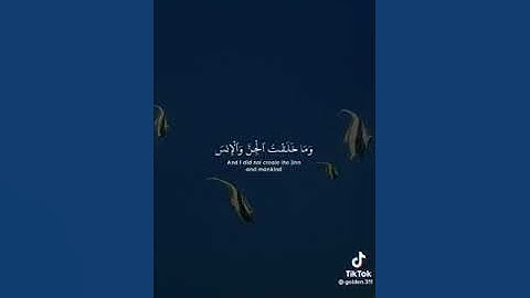 ان الله هو الرزاق ذو القوة المتين / سورة الذاريات /قران كريم