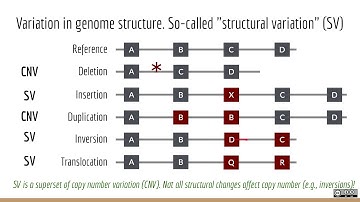 Applied Computational Genomics - 11 - What is Structural Variation and how do we detect it?