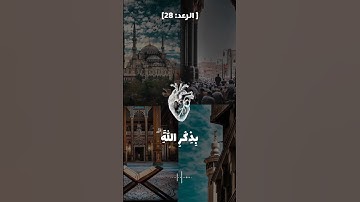 الذين آمنوا وتطمئن قلوبهم بذكر الله ألا بذكر الله تطمئن القلوب | الآية 28 من سورة الرعد#quran #allah