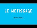 Le  mtissage  education musicale