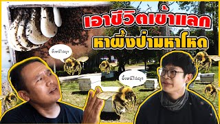 บุกสวนล่าน้ำผึ้งแท้จากรังสดๆ เสี่ยงเป็นเสี่ยงตุยก็ยอม l น้องพี่หนี้เรา ☻ EP.73