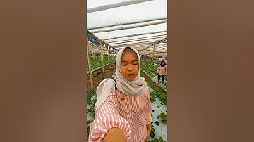 tugas vlog informatika