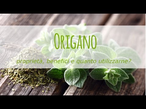 Video: Origano: Proprietà Utili, Valore Nutritivo, Vitamine