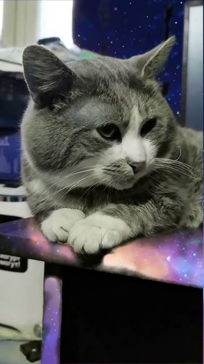 Сколько лет Артемию?😹 - YouTube