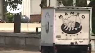 Mambo Movers