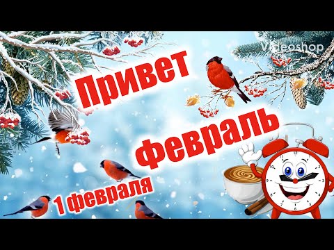 Привет Февраль! С Добрым Февральским Утром❄️Хорошего Февральского Дня😘Музыкальная Открытка 1февраля
