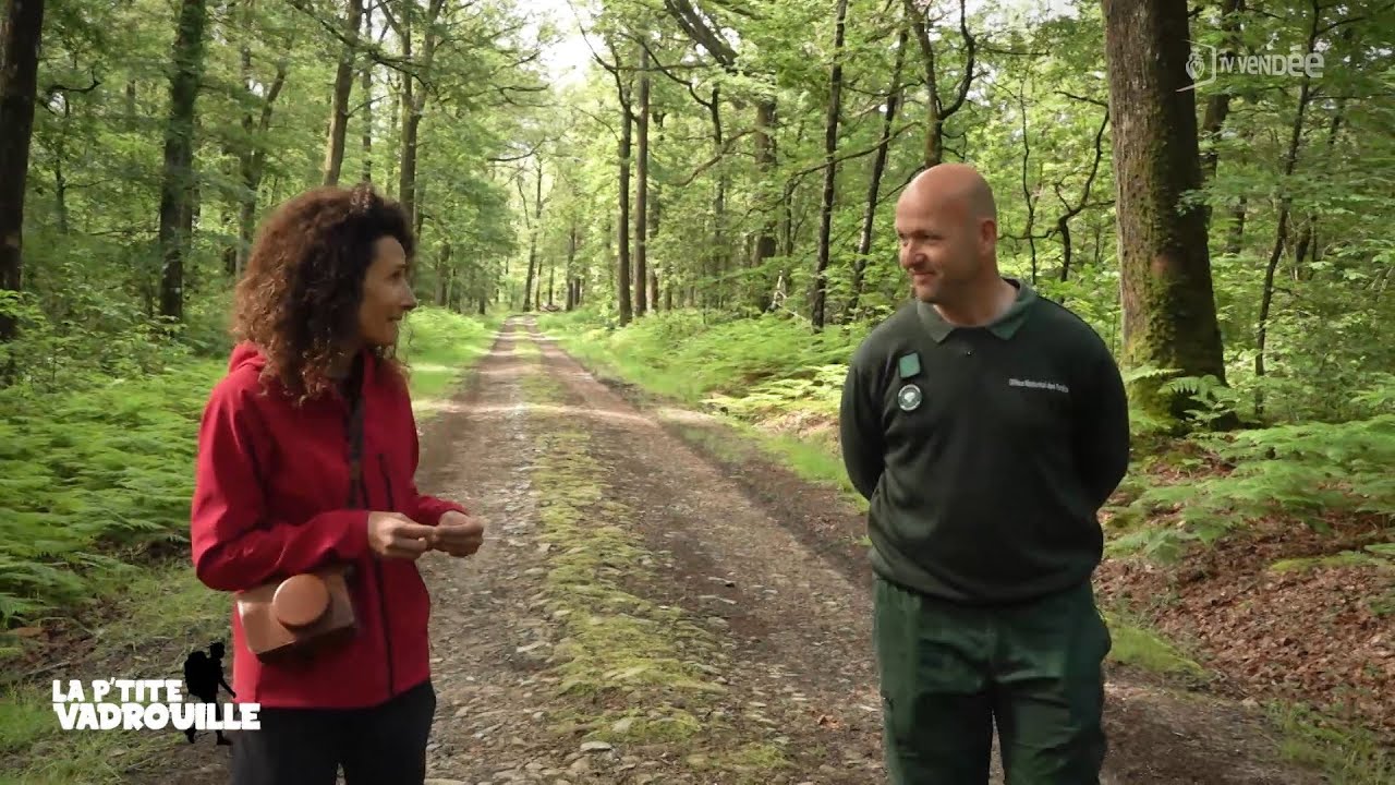 La P’tite Vadrouille - Saison 4 - Episode 7 - Mervent