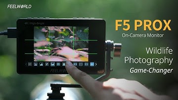 FEELWORLD F5 PROX On-camera Monitor for Wildlife Photography