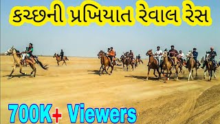 Horse Rewal Chal Racing in Vekriya Rann | भुज अश्वपालक ग्रुप आयोजित रेवाल चाल रेस