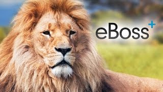 eBoss Recruitment Software