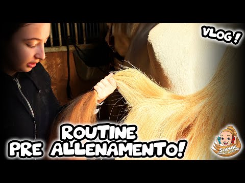 ⭐️ VLOG - ROUTINE 2024 - COSA FARE PRIMA DELL' ALLENAMENTO 😍