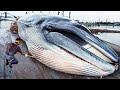 Japanese traditional food whale meat  whale meat cutting skill in japan