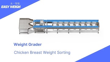 Easyweigh Weight Sorting Machine for Chicken Breast