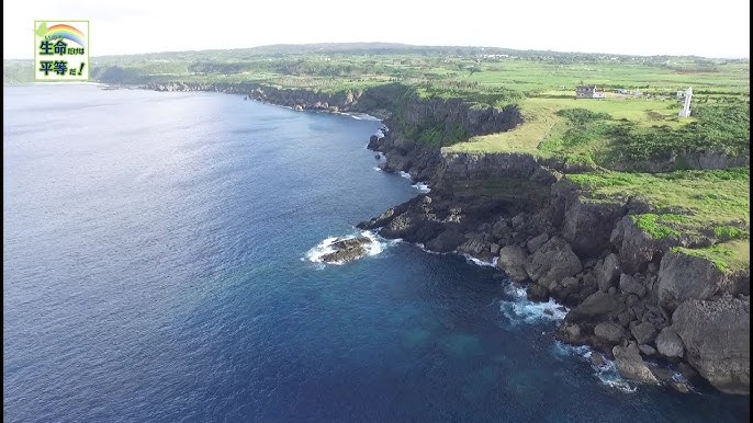 どんな場所でも 生命だけは平等だ 3 与論島編 Youtube