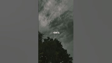 كلمات تهز القلوب 🌿 تلاوة تبعث الطمأنينة | ربنا لا تحملنا ما لا طاقة لنا به