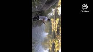 fishing for flatheads in the Guadalupe River