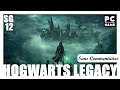 Hogwarts legacy  lhritage de poudlard  lets play pc fr 4k ultra  sans commentaire  ep12
