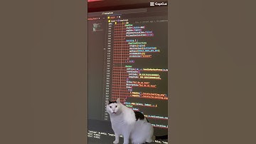 Khi bạn học code, #code #css #developer #frontend #javascript #react