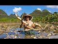 葉子枯 蓮藕肥，挖藕小妹真是累，背回家中做美味--蓮藕Country girl, making Chinese foods and lotus root powder from lotus roots