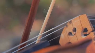 The Surprising Origin of Violin Strings!