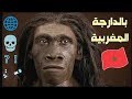 تاريخ البشر «الإنسان» على وجه الأرض بالدارجة المغربية (الهوموسابيان  homo sapiens)