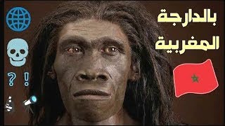 تاريخ البشر «الإنسان» على وجه الأرض بالدارجة المغربية (الهوموسابيان  homo sapiens)