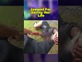 She Jumped to Escape… What Happened Next Is SHOCKING 😳 | Real Bodycam Footage