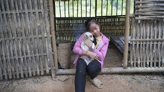 Poor girl. Harvest pumpkins and vegetables to sell. Buy a puppy as a friend