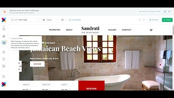 Webready Translator  Overview