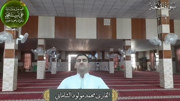 القارئ محمد مولود الشاماني تلاوة عراقية مرئية أواخر سورة الجمعة(مقام الأورفه)