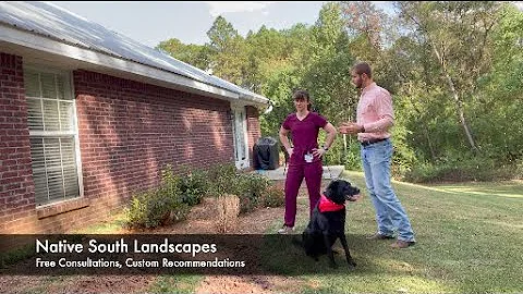 Native South Landscapes