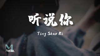 Yu Dong Ran 于冬然 - Ting Shuo Ni 听说你s 歌词 Pinyin/English Translation 動態歌詞