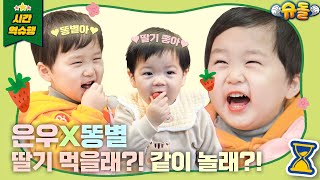 🍓누가 누가 잘먹나🍓 드디어 은우와 준범이가 만났어요❤️ (feat. 뜻밖에 딸기 대전) [슈돌 유튜브] KBS 240102 방송