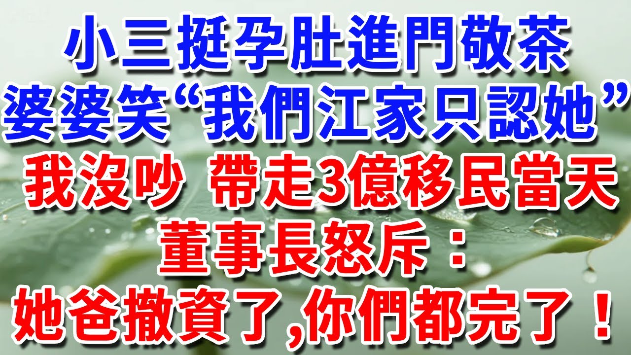小三挺孕肚進門敬茶，婆婆笑“我們江家只認她”，我沒吵 帶走2.8億移民當天，董事長怒斥：她爸撤資了，你們都完了！#一帆說故事 #為人處世 #生活經驗 #情感 #故事 #彩礼#深夜淺讀