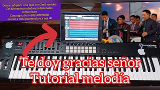 Te doy Gracias señor// Pedro Canil// Tutorial Melodía//