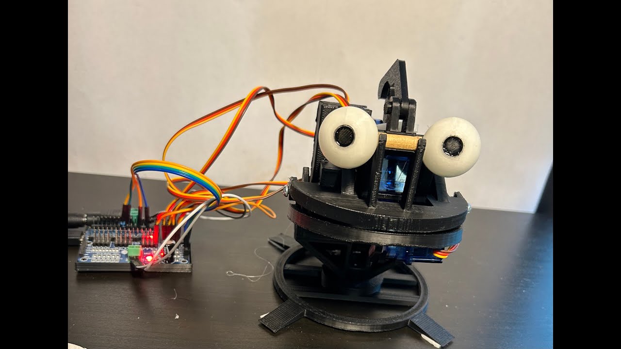 First video test of my robot head