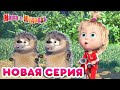 Маша  и Медведь - 💥 НОВАЯ СЕРИЯ! 🐻 Крути педали 🚵‍♂️ Коллекция мультиков