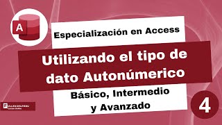 Access - Utilizando el tipo de dato Autonúmerico