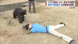 If you encounter a bear Training for teachers and staff: Back