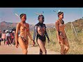 Umemulo kwa zondi zulu culture traditions zedube tvyabantu