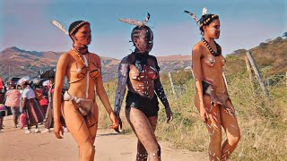 Umemulo Kwa Zondi #zulu #culture #traditions #zedube @TVYABANTU
